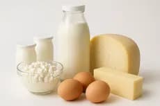 Produits Laitiers & Œufs