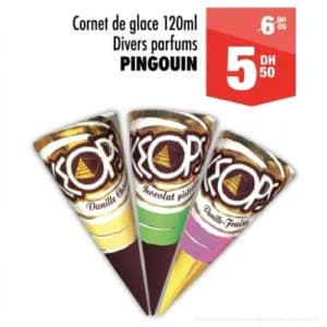 Cornet de glace PINGOUIN