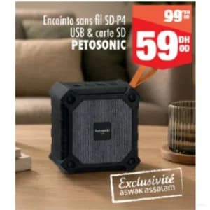 Enceinte sans fil SD-P4 USB & carte SD PETOSONIC