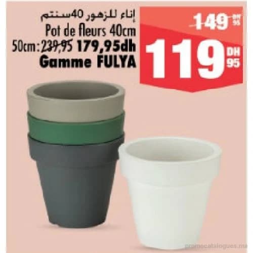 Pot de fleurs