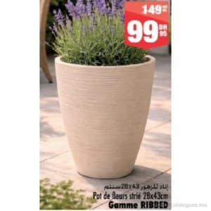 Pot de fleurs strié