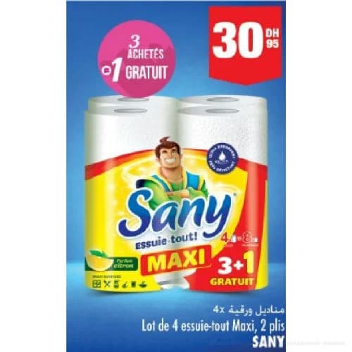 Sany Essuie-tout Maxi 3+1 Gratuit