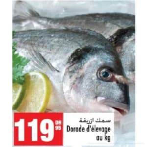Saumon frais entier vidé