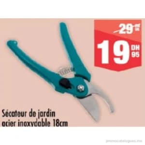 Sécateur de jardin