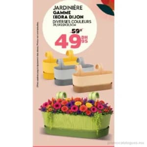 Jardinière Gamme Ixora Dijon