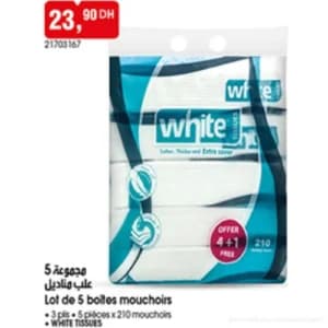 Lot de 5 boîtes mouchoirs