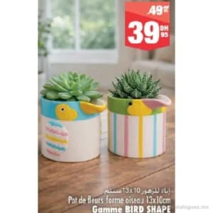Pot de fleurs forme oiseau Gamme BIRD SHAPE