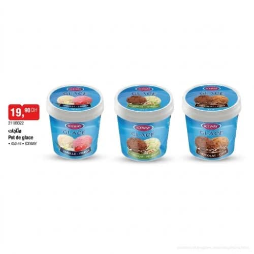 Pot de glace ICEWAY 450ml
