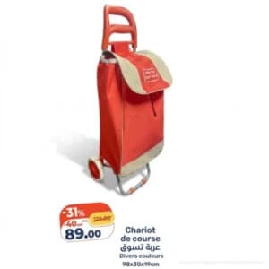 Chariot de course