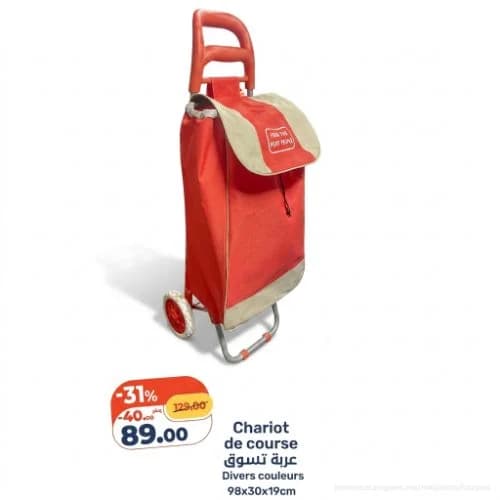 Chariot de course