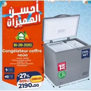 Congélateur coffre Goldenstar 290L