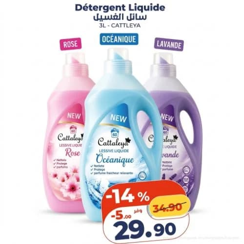 Détergent Liquide