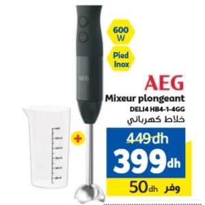 Mixeur plongeant AEG DELI4 HB4-1-4GG