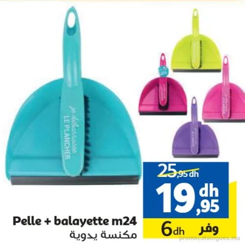 Pelle + balayette m24