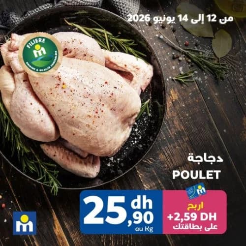 دجاجة فيليير م