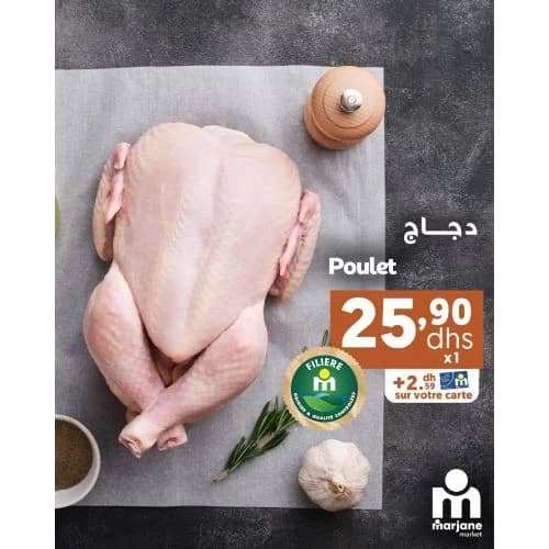 دجاج