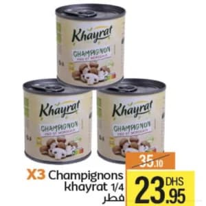 3 فطر خيرات 1/4
