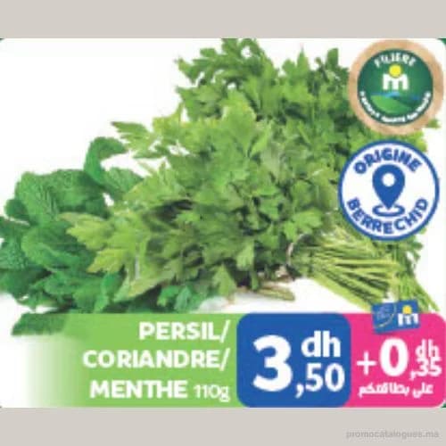 Persil / Coriandre / Menthe