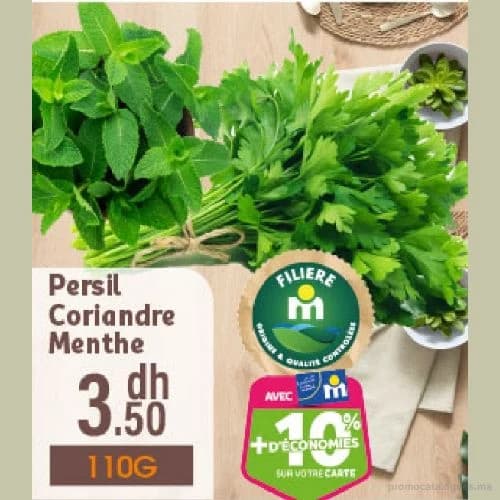Persil Coriandre Menthe