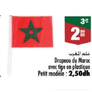 علم المغرب مع قضيب بلاستيكي - حجم صغير