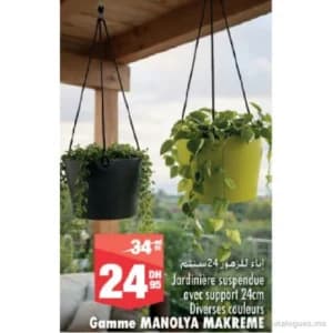 Jardinière suspendue avec support 24cm