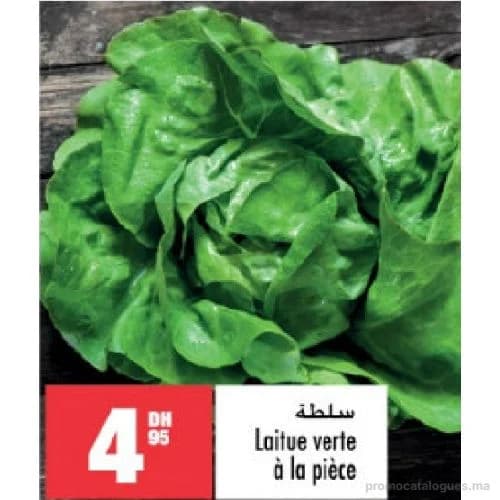 Laitue verte à la pièce