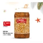 Maïs de pop corn L'MEMA