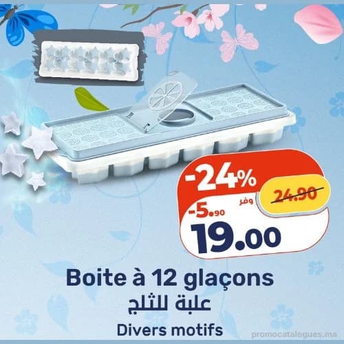 Boite à 12 glaçons