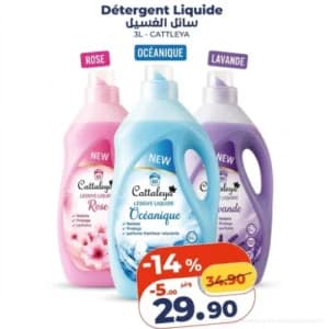 Détergent Liquide