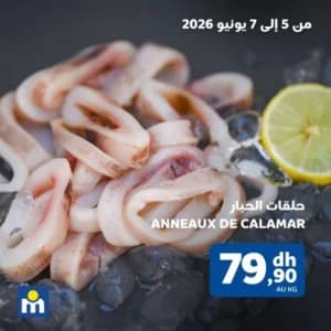 حلقات الحبار