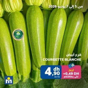 قرع أبيض