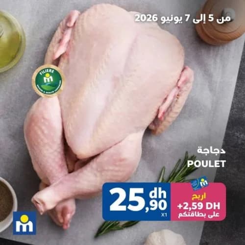 دجاجة