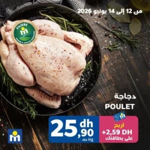 دجاجة فيليير م