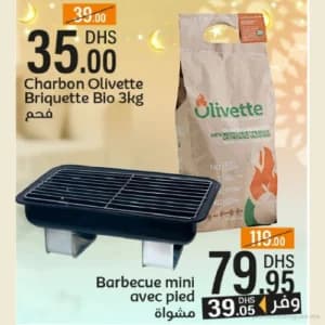 Charbon Olivette Briquette Bio