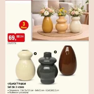 Set de 3 vases
