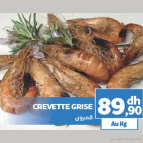 Crevette Grise