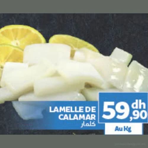 Lamelle de calamar