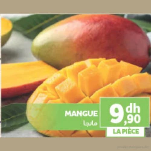 Mangue