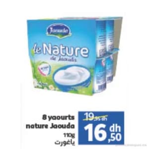 Yaourts nature