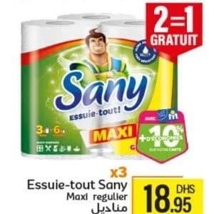 Essuie-tout Sany Maxi régulier
