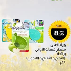 Wellnax Désodorisant pour Lave-Vaisselle