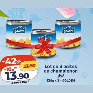 Lot de 3 boites de champignon