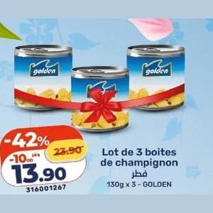 Lot de 3 boites de champignon